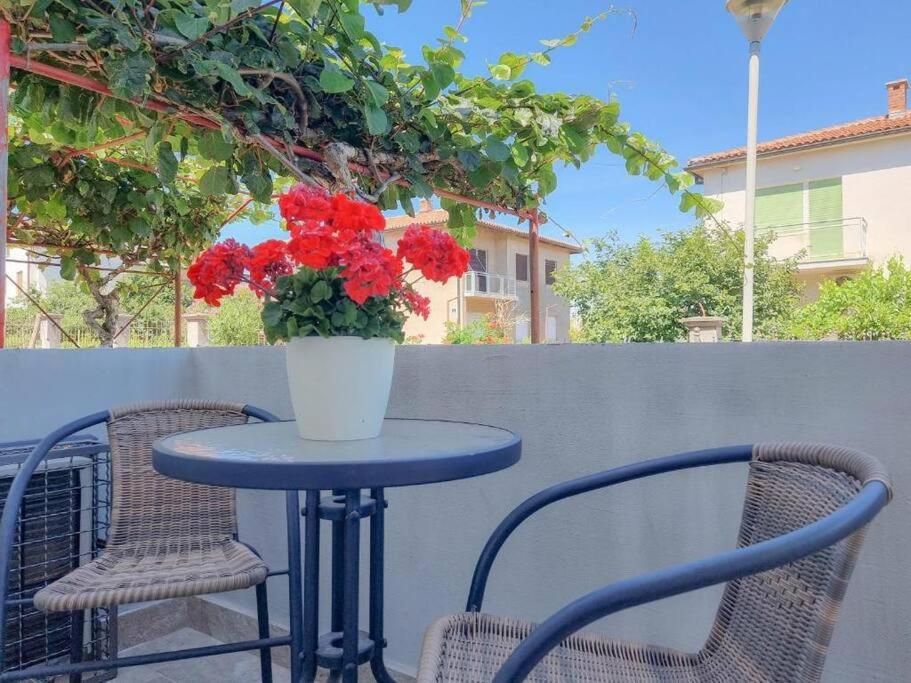 App Racy Apartment Umag Luaran gambar