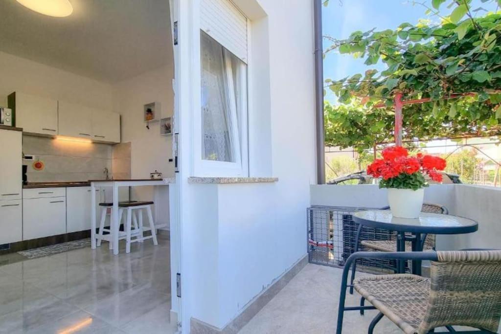 App Racy Apartment Umag Luaran gambar